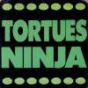 disque dessin anime tortues ninja tortues ninja